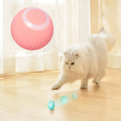 PetNest Interactive Ball